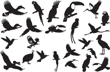 Fototapeta premium Collection of Various Silhouette Birds in Flight and Perched