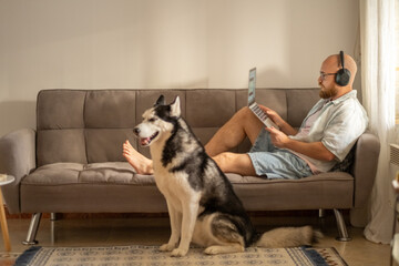 Happy husky asks for attention standing near working owner at home, attention that no deadline can postpone, friendship without any condition. Wide shot. Concept of dog asking attention during work © iwavephoto