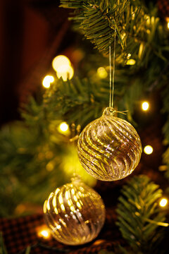 Clear glass Christmas baubles hanging on pine branch close up