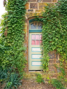 ivy on old stone building with arched doorway and narrow door