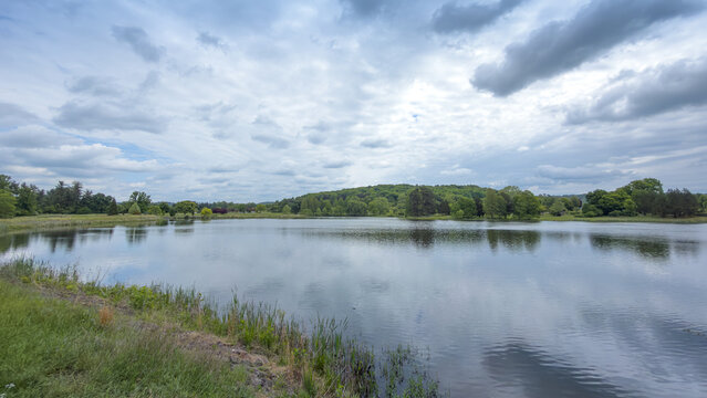 Wide, calm lake under a heavily clouded sky, with a grassy, reed-lined shoreline in the foreground and a tree-covered hill beyond