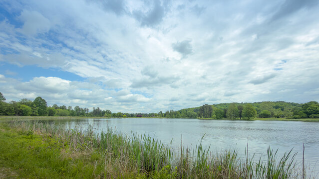 Lake view with a bright, partly sunny sky, wispy clouds, and dense marsh grass and cattails lining the near bank