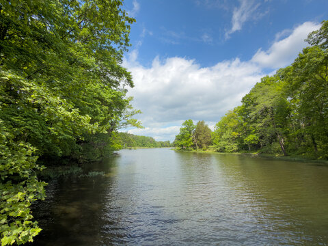 Tree-lined river or channel under a bright blue sky with fluffy clouds, sunlight filtering through overhanging leafy branches