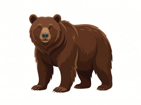Cute brown bear vector illustration on a white background