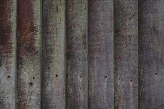 Grey wooden fence texture with green weathering and brown undertones