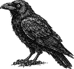 Obraz premium Halftone stipple dotted black raven in retro grunge style on transparent background