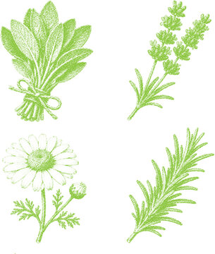 Halftone stipple dotted grunge floral set with retro transparent leaves and flowers in green