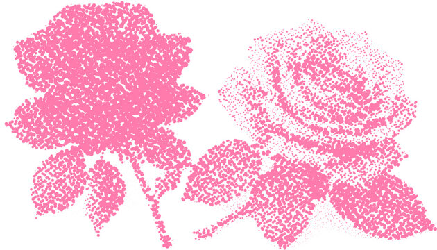 Halftone stipple pink roses in retro grunge style with transparent dotted background