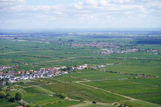Elevated View of the Rhine Plain and Vineyards from Hambach Castle