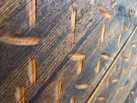 Horizontal eye level shot of a damaged brown wooden planks with notches, deep cuts, and selective focus