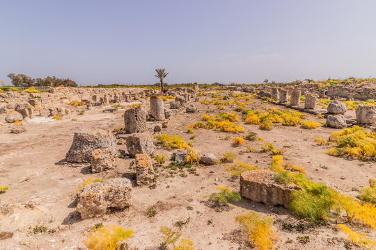 Basilica of St. Epiphanius ruins in Salamis ancient city, Northern Cyprus