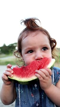 Happy toddler girl eating watermelon slice outdoors on summer day in a backyard - Healthy fruit snack, childhood candid moment and seasonal lifestyle concept - Vertical video - UGC content
