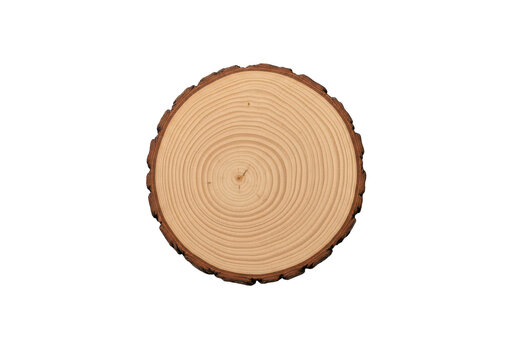 Round wooden log slice with natural tree ring texture isolated on transparent background