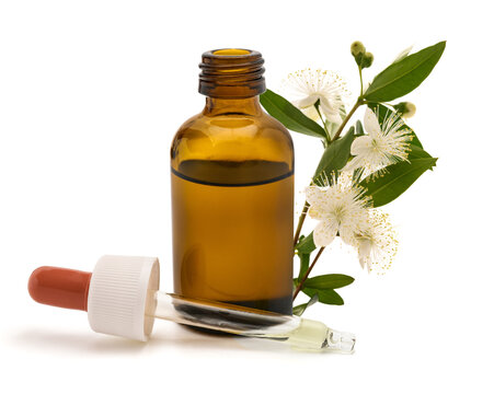 Myrtle flowers with dropper bottle and pipette isolated on white