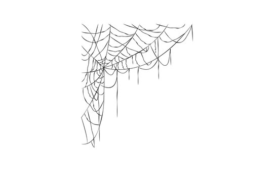 Hand drawn spider web in the corner illustration for Halloween decor design elements