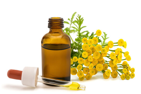 Tansy flowers with dropper bottle isolated on white background