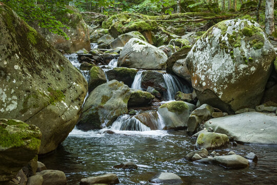 Il fiume Dardagna in montagna con le sue cascatelle e i riflessi del bosco