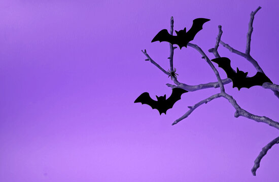 Halloween background with black bats sitting on tree.