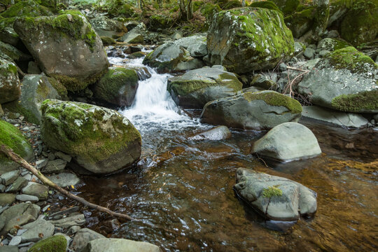 Il fiume Dardagna in montagna con le sue cascatelle e i riflessi del bosco