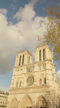 Vertical View of Notre Dame Cathedral in Paris, France