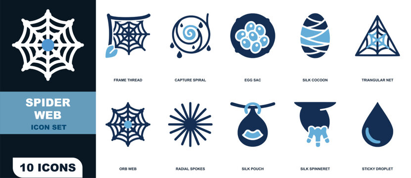 Spider web set featuring ten symbols including silk cocoons and sticky droplets