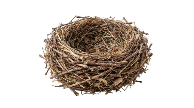 Empty bird nest made of dry twigs and branches isolated on transparent background