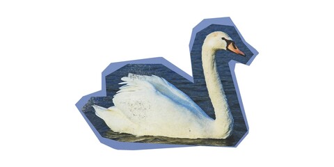 White swan sticker, cutout bird on water, elegant waterfowl decal © M Yusril Hadi