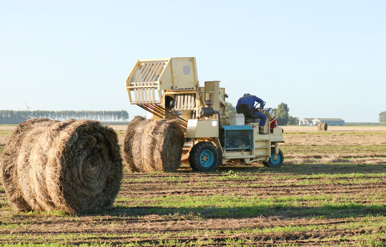 a farmer is making round flax bales with a flax machine at a flax field in the dutch countryside in zeeland in autumn