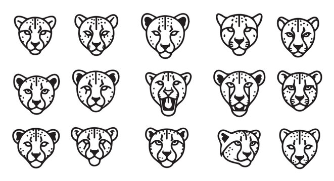Cheetah faces in a grid with varied expressions and details against a white background