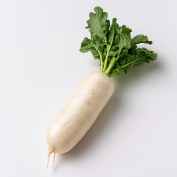 Daikon radish photo, fresh white vegetable with green leaves isolated on white background