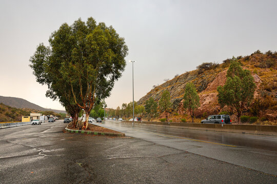 Saudi Arabia Tourism - Dramatic sunbeams breaking through clouds over Al Hada mountain in Al Taif, - Saudi National Day and travel 