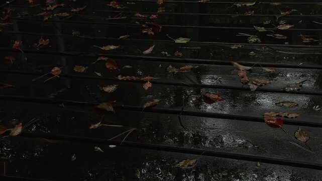 Rain falling on a wet wooden deck scattered with fallen leaves, with reflections of the railing and trees.