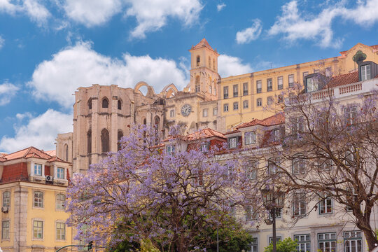 Historic Carmo Convent rises above colorful buildings and blooming jacaranda trees in central Lisbon, Portugal.