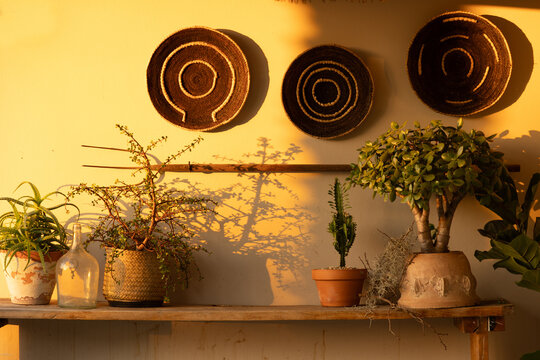 sunset light falling on decorative wall with African baskets and plants