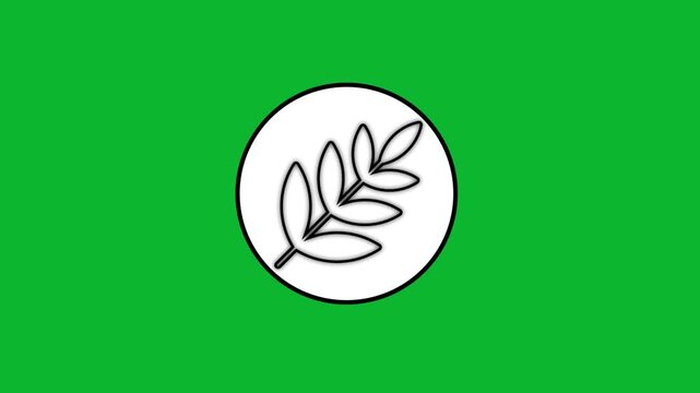 Minimalist olive branch symbol animation with hand drawn line art style on green background screen.