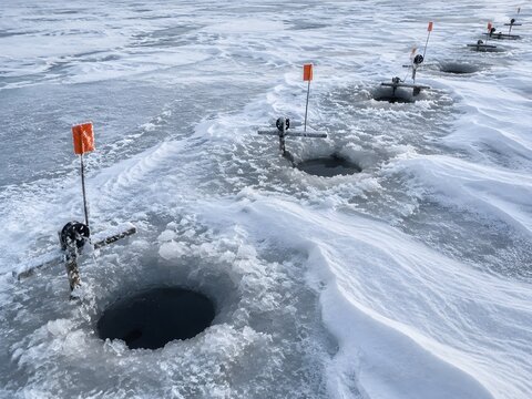 A line of drilled ice fishing holes across a frozen lake with frost crusted tip ups planted between them and slush rings