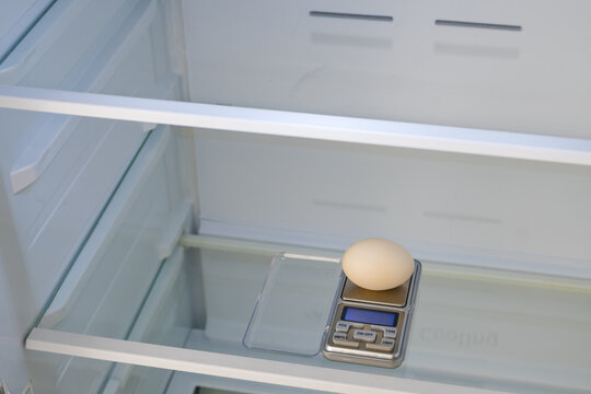 Egg weighing on digital scales in refrigerator