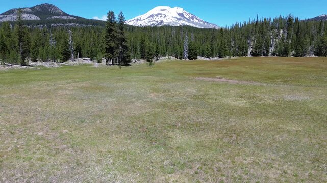 The meadow and South Sister - Oregon