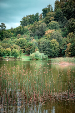 lake in the forest