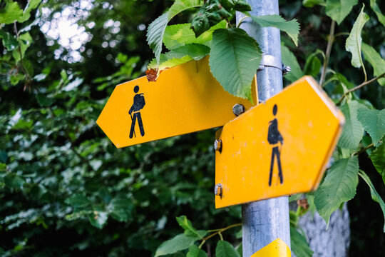 Trail signs on a post in a forest