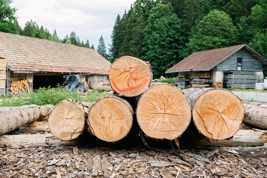 Logs at a mountain sawmill ready for processing