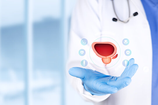 A urology specialist examining the prostate and bladder. Urology, prostate cancer diagnosis, and medical research concept with a bokeh background. Isolated with copy space.