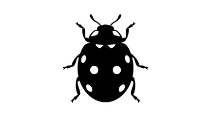 Fototapeta premium Black ladybug silhouette against a white background showcases insect form