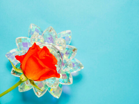 Vibrant red rose rests on sparkling crystal flower against soft blue background. Rose appears fresh, petals slightly curled. Crystal base reflects light, adding elegance. Ideal for romantic, floral