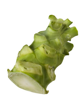 ブロッコリーの茎 1本の斜め切り抜き。料理レシピや食品ロス削減に使える新鮮な野菜の芯・フード素材 俯瞰
