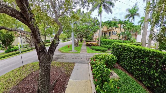 4K video explores lush residential landscape design from a steady moving perspective in Naples, Florida.

