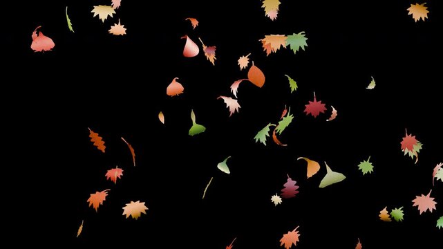 Colorful autumn leaves gently falling down the frame. Features an alpha channel for easy compositing in seasonal videos, Thanksgiving promos, nature clips, and fall event designs.