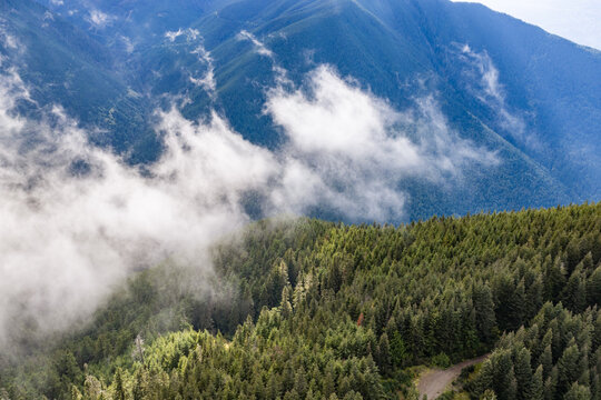 Misty Mountain Forest With Low Clouds Over Lush Evergreen Trees Near Chilliwack, BC, Canada