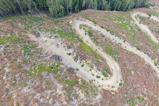 Aerial View of Deforested Hillside With Dirt Road Switchbacks Near Chilliwack BC Canada