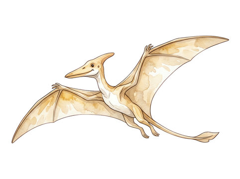 Watercolor Pterodactyl Dinosaur Flying Isolated on White Background